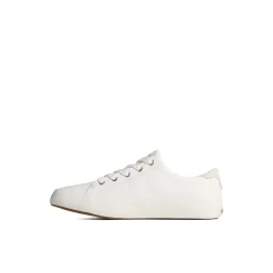 Sandy Leather Sneaker