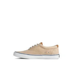 Striper II CVO Sneaker