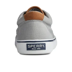 Striper II CVO Sneaker