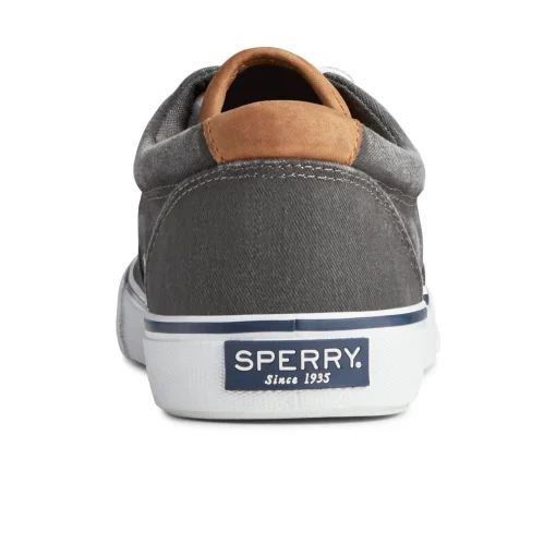 Striper II CVO Sneaker